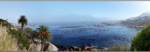 La vue sur l'océan est superbe ! - Camps Bay - Cape Town - Afrique du Sud
