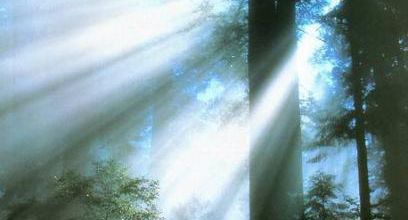 Light nature 