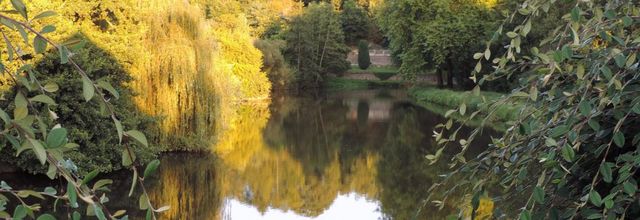 couleur d'automne ...