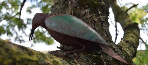 ...oiseau de fer...!