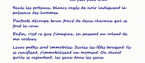 Bisous équins - Théa d'Albertville