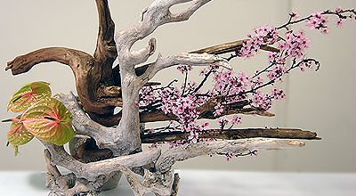 L'ikebana japonais