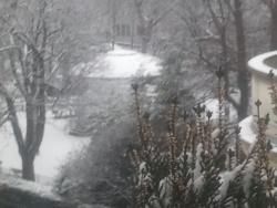 Paroles d'écrivains