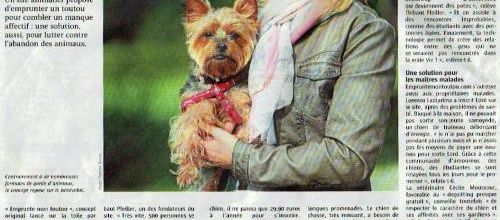 Animaux de compagnie