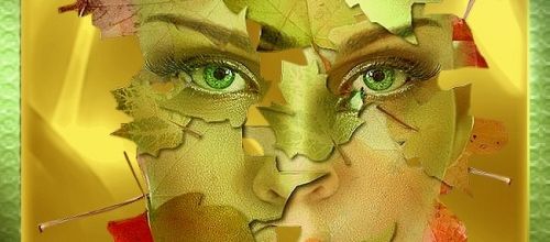 Visage de femme .