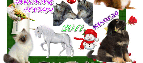 BONNE ANNEE ANIMAUX