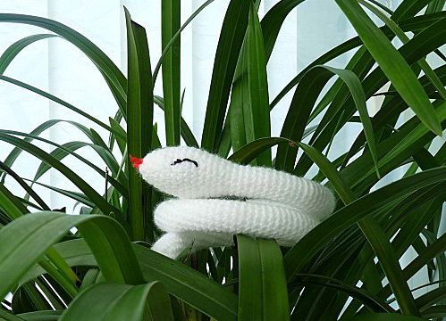 Le serpent et...la grenouille
