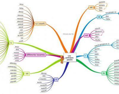 Conjugaison - les participes passés