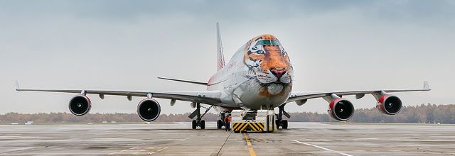 Boeing 747 of Rossiya Airines in Tigrolet livery