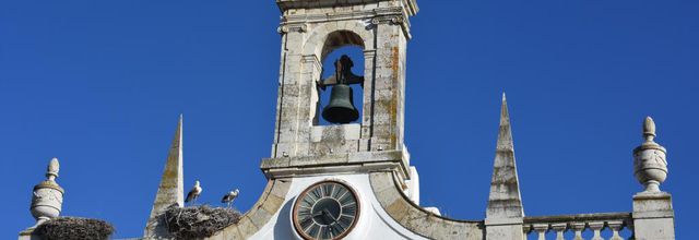Cigognes - Faro - Portugal 2017