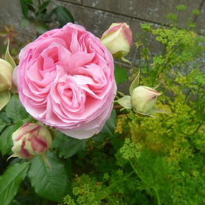 doux week end a tous
