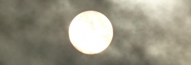 Soleil timide