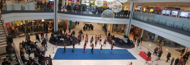 2019 Ottawa Redblacks Cheerleading and Dance Team Auditions at Saint Laurent Centre