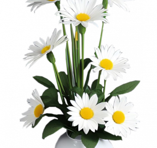Des fleurs 