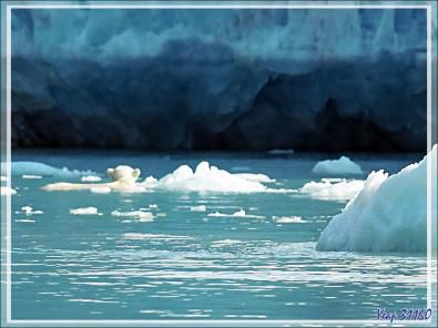 L'ourse et son gros ourson de Croker Bay - Devon Island - Nunavut - Canada