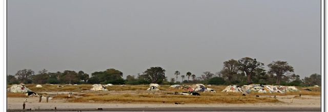 POINTE DJIFER - PALMARIN  LES PUITS DE SEL 2018