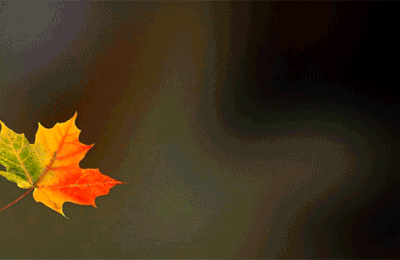 Bon Dimanche en Poésie 2025 !