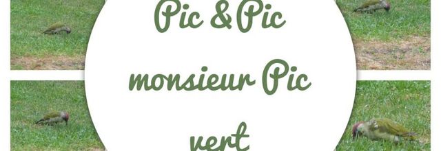 Dans son jardin, dans le mien
