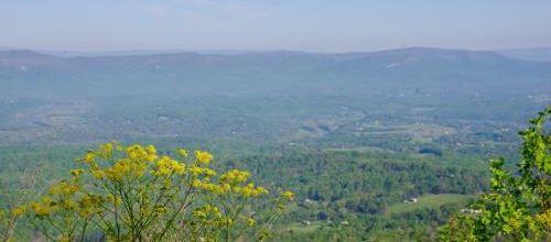 Jour 1 - Shenandoah National Park, Virginie