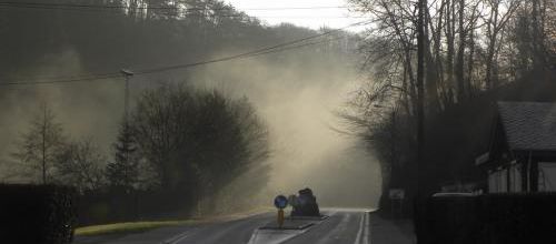 Matin dans la brume
