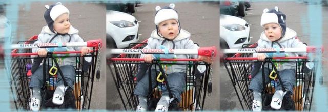 Comme un grand dans un caddy