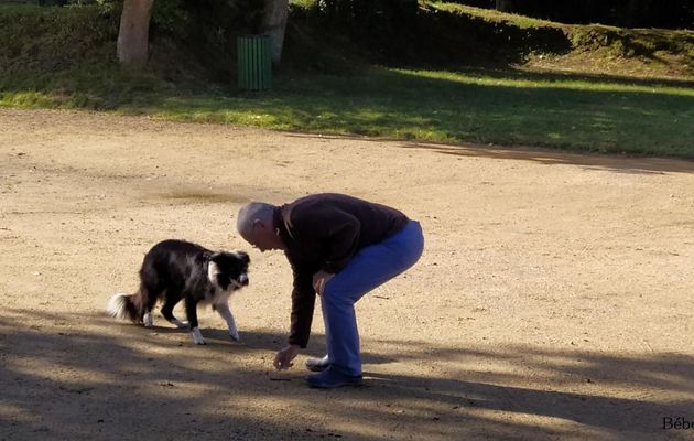 un beau moment avec un chien