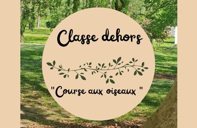 Classe dehors : les oiseaux 