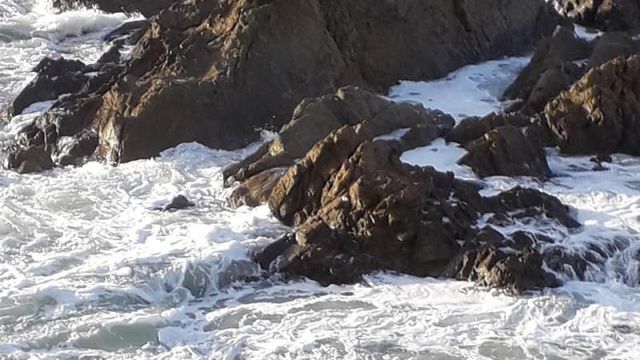 Le bruit des vagues