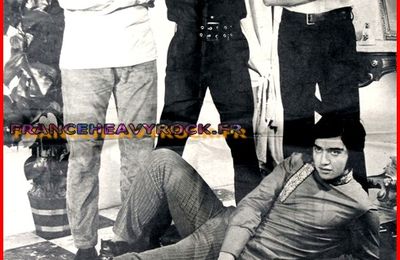 THE FASHIONS (1966-1969)