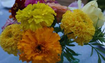 Bouquet joyeux