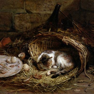 Tableau du samedi 304  : Un chat à la ferme