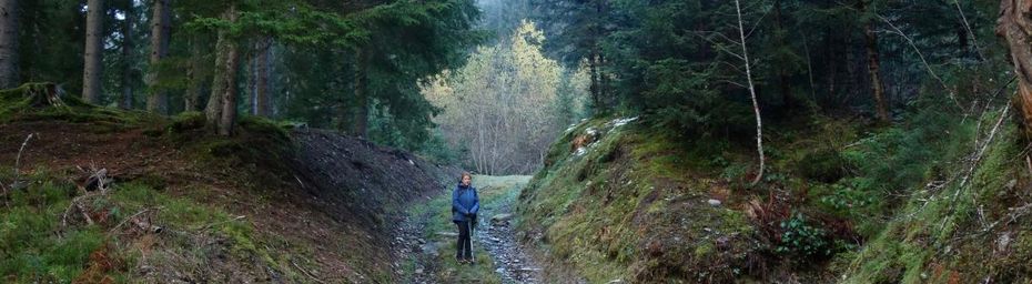 La boucle du lac des Tavernes
