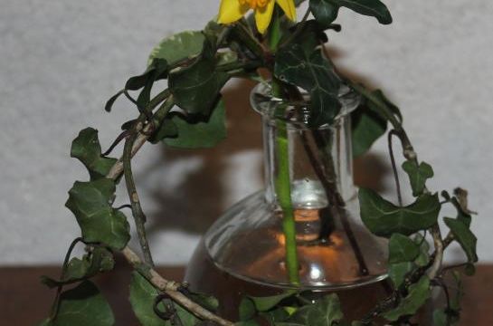 Un peu de printemps à la maison
