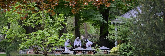 Visiter le Jardin du Luxembourg : Le rucher-école