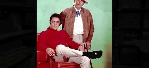 PARKER MARKETING NEWS GRACELAND SITE 