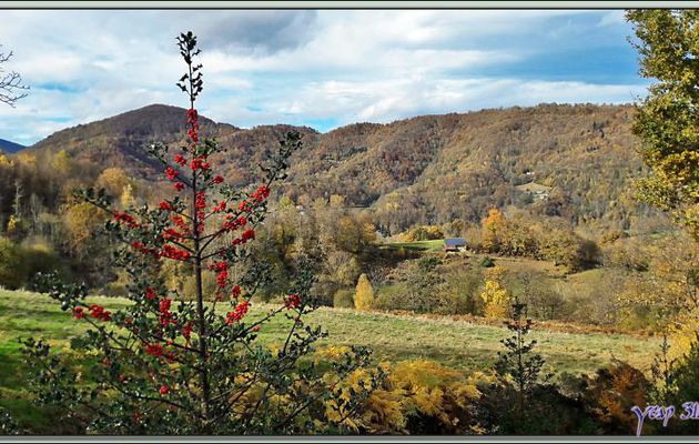 Devant ma porte : paysage enluminé par les superbes couleurs de l'automne - Lartigau - Milhas - 31  