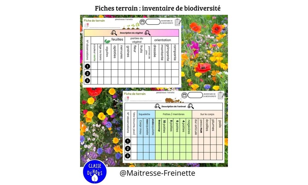 Classe dehors - fiches de terrain