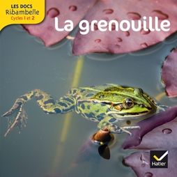 Documentaire : Les grenouilles