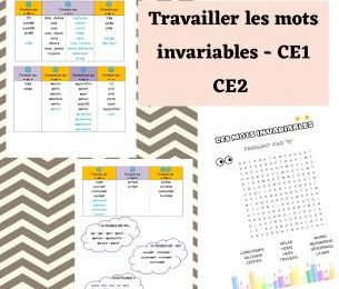 Les mots invariables 