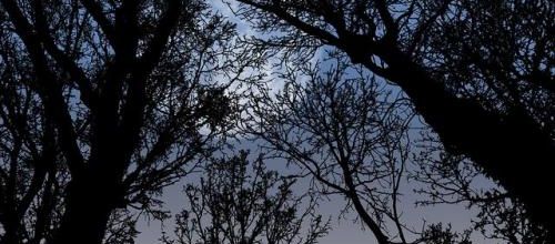 Pleine lune...