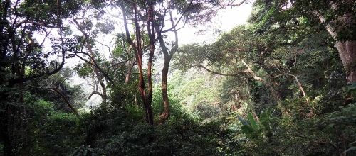 Mount Cameron Road - Aberdeen HK 4ème journée