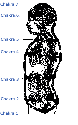 Les chakras