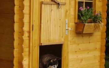 ma cabane au fond du jardin...