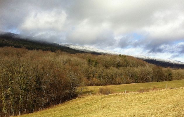 05/03/2017: Drôle de temps