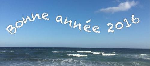 Bonne année 2016