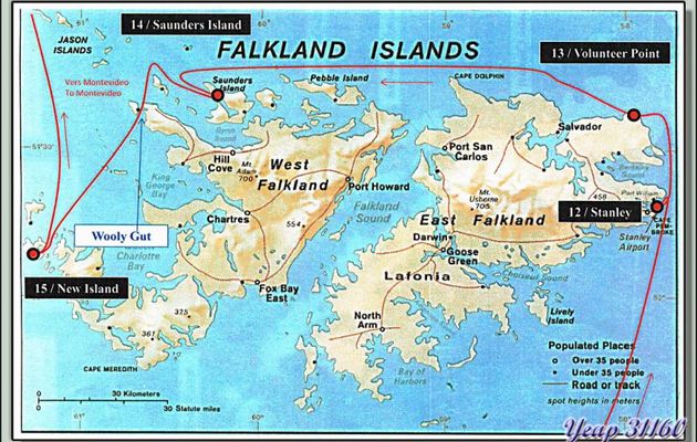 27 février 2013 : nous arrivons sur les Iles Falkland (Malvinas en espagnol et Malouines en français), des Albatros hurleurs accompagnent l'Austral 