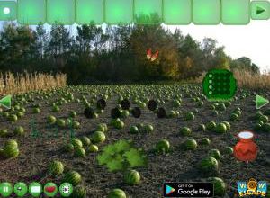 Watermelon land escape soluce