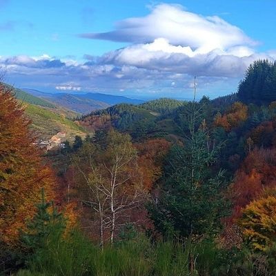 L'automne s'installe... 