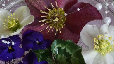 Les petits rien du jardin