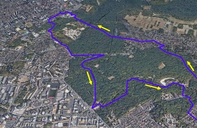 La forêt de Bondy (1/2)
